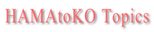 HAMAtoKO Topics